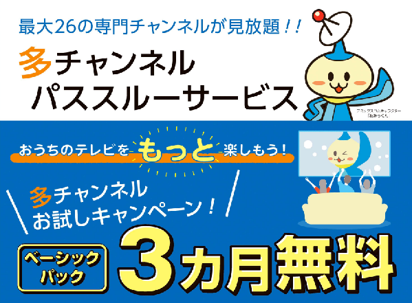 多チャンネルパススルーサービス